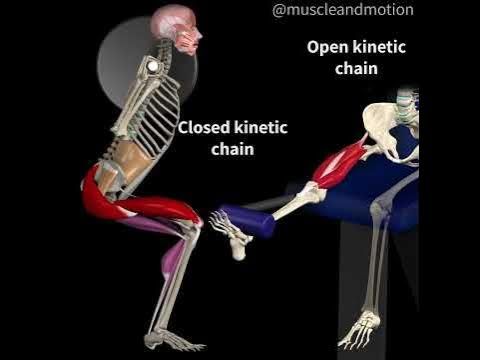 Open vs. closed kinetic chain exercises